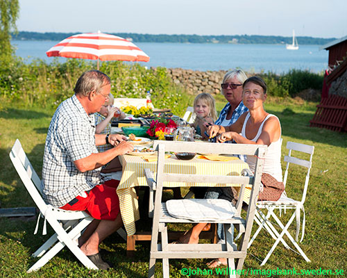 outdoor meal