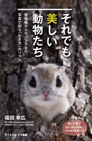 それでも美しい動物たち