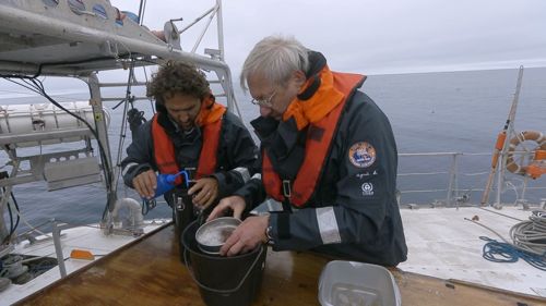 『海 - 消えたプラスチックの謎 OCEANS:THE MYSTERY OF THE MISSING PLASTIC』