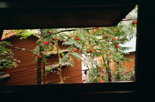 photo by KIKI