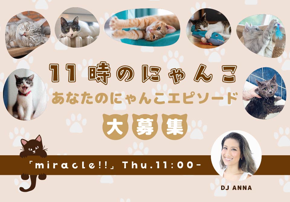 miracle!!「11時のにゃんこ」～貴方のカワイイ“にゃんこ”エピソード